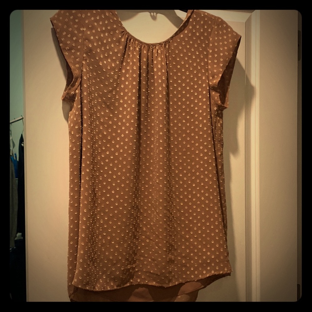 Polka Dot Cap-Sleeve Women's Top - Tan